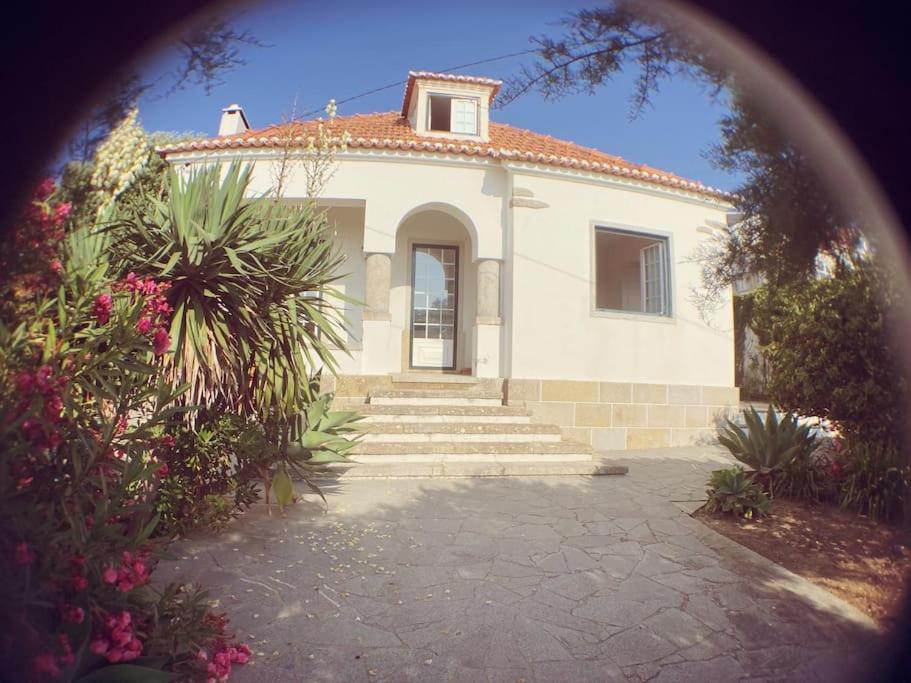 Challet Ericeira 빌라 외부 사진